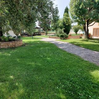 Agriturismo La Verde Rosa - Pescia Romana - 5