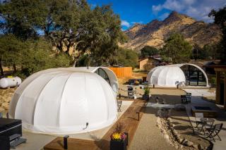 Sequoia Studio Suites - 5