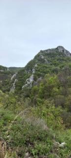 Vila Budimir - 1