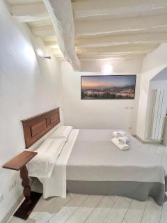 ADG Apartment 33 - Firenze - 8