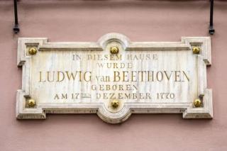 La Casa de Beethoven - Xalapa - 7