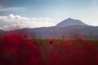 Charmant appartement proche de Clermont-Ferrand - 3