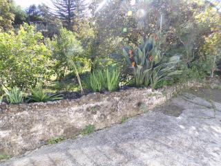 Casa Dieguito, Turismo Rural - Valleseco - 6
