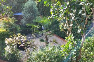 Dans un parc privatif arboré - Réau - 5