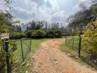 Wild Valley Club - Masinagudi - 3