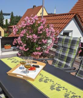 Hortensie Speyer - Espira - 9