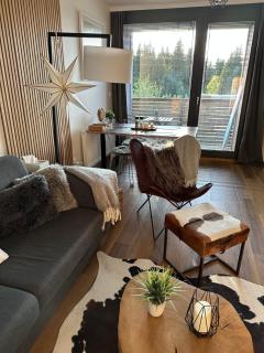 U jelena Harrachov - rodinný apartmán u lesa s garáží - Harrachov - 9