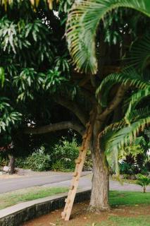 Magic Sands Beach Bungalow - Kailua-Kona - 1