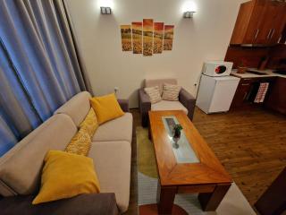 Bansko Vibes Apartments - Vesta Boutique - Bansko - 4