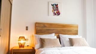 OCASSO JARDIN APARTAMENTO GALLITO DE ROCA - 2