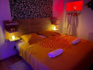 Maison avec Jacuzzi - Louvres proche Roissy CDG - Paris - Louvres - 4