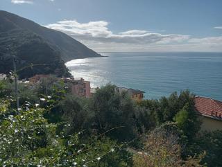 Giardino sul Mare - Camogli - 7