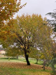 La Casa De Marta - 1