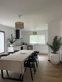 FERN - Gerringong - 1