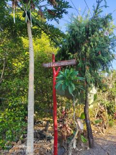 CLOVE GARDEN - Gitgit - 2