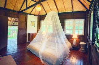 La Maison - Chiangmai - Mae Taeng - 1