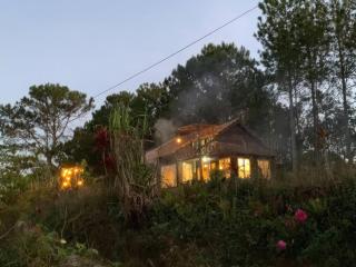 Romantic house on a pine hill Dalat - Ấp Xuân An - 6