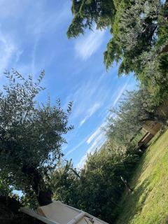 Le tre civette - CIVETTA LILA - Vacri - 3