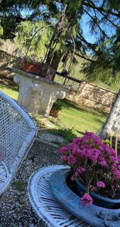 Le tre civette - CIVETTA LILA - Vacri - 1