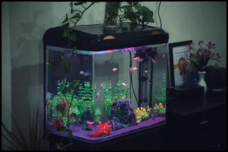 Orange Corner Hotel, Airport pickup & drop Available 24X7 - Yelahanka - 4