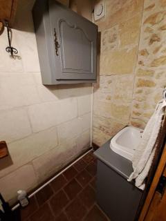 La Chauvellière, un écrin de verdure dans un cadre historique - Beaumont-la-Ronce - 9