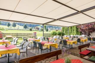 Hotel Alpenhof - Westendorf - 2