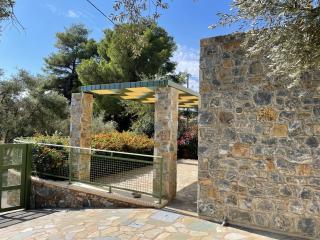 Ouzo Stone Studio - Plomarion - 4