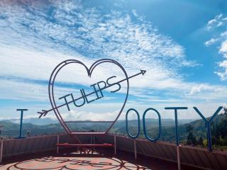 Tulips Village Resorts - Ooty - 9