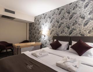 Hotel Fontana Vrnjačka Banja - Vrnjačka Banja - 7