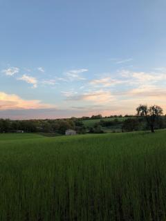 Casa Vespina Agriturismo Biologico - Orvieto - 0
