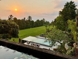 The Sangkih Villa Restaurant & Bar - Munduk - 0