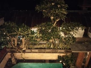 DANU HOUSE UBUD - 4