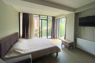 Bakuriani apartament B-311 - Bakuriani - 9