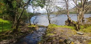 Oak Tree Cottage - 3 Bedroom - Louisburgh - 2