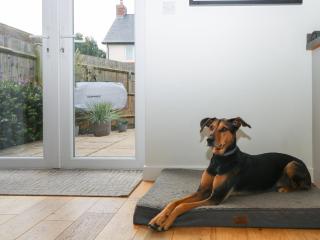 1 Matrons Cottages - Littlehampton - 2