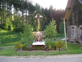 Sulzerhof - Bad Rippoldsau-Schapbach - 5