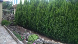Enjoy Guest House - Golden Sands - 8