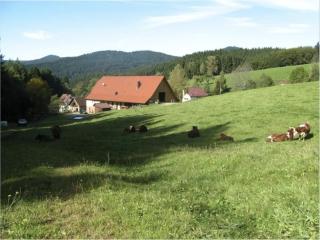 Sulzerhof - Bad Rippoldsau-Schapbach - 2