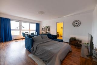 BlueWood , vue sur la ville - Mulhouse - 5
