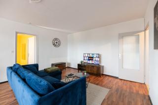 BlueWood , vue sur la ville - Mulhouse - 6