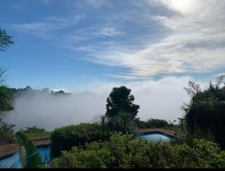 Forest Dream House - 5