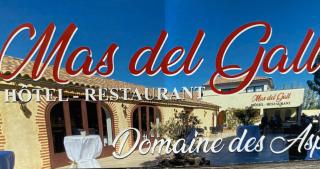 Hôtel Restaurant Mas del Gall - Castelnou - 7