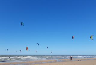 PAOLA - Oostende - 4