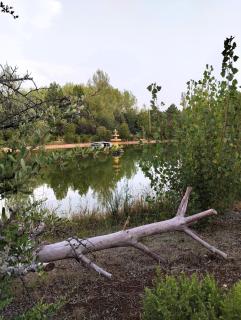 Finca Paraíso Rural - El Burgo de Osma - 6