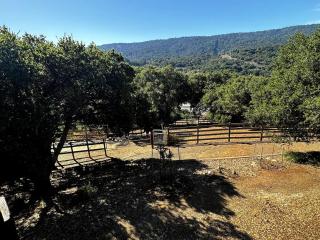 Private 1BR and Backyard Oasis - Woodside - 4
