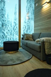 Villa Auroras Kettu - Syöte - 7