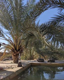 Siwa desert home - Siwa - 5