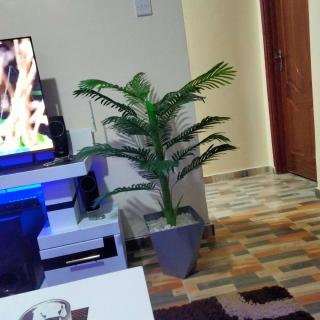 Jetview court Apartment - Embakasi - 7