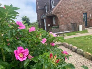 Sylter-Rose-3a-strandnahe-Ferienwohnung-mit-Strandkorb - Westerland - 2
