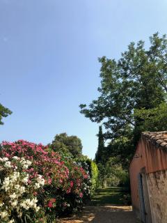 Holiday home in heart of Provence with private pool - Saint-Étienne-du-Grès - 6